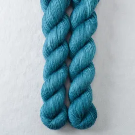 Aquarius - Yowza Mini