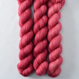 Bearberry Partial Skeins - Katahdin