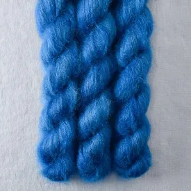 Blueberries - Moonglow