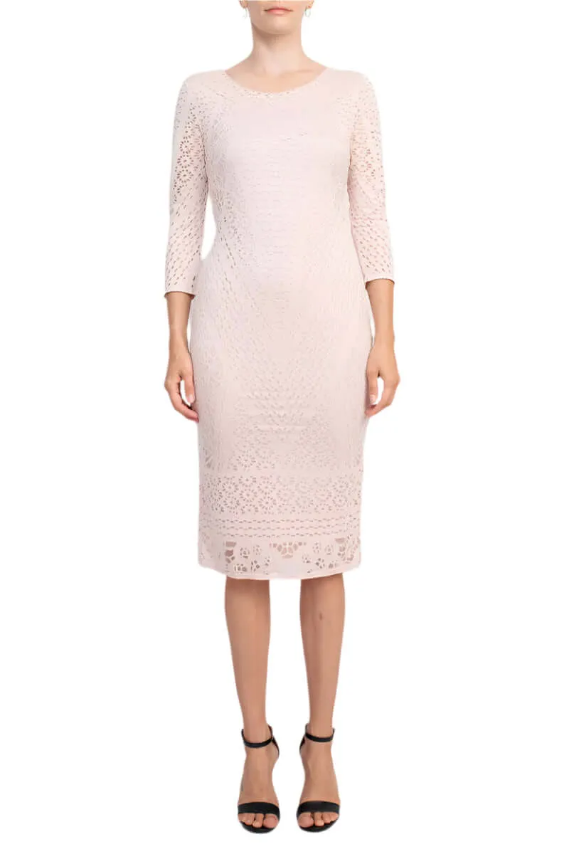 Catherine Malandrino Scoop Neck ¾ Sleeve Bodycon Burnout Dress