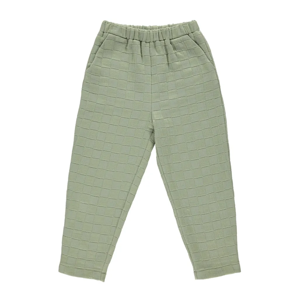 Chino Sage Adult