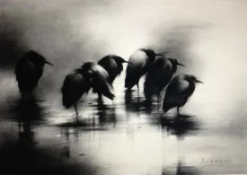 Crows