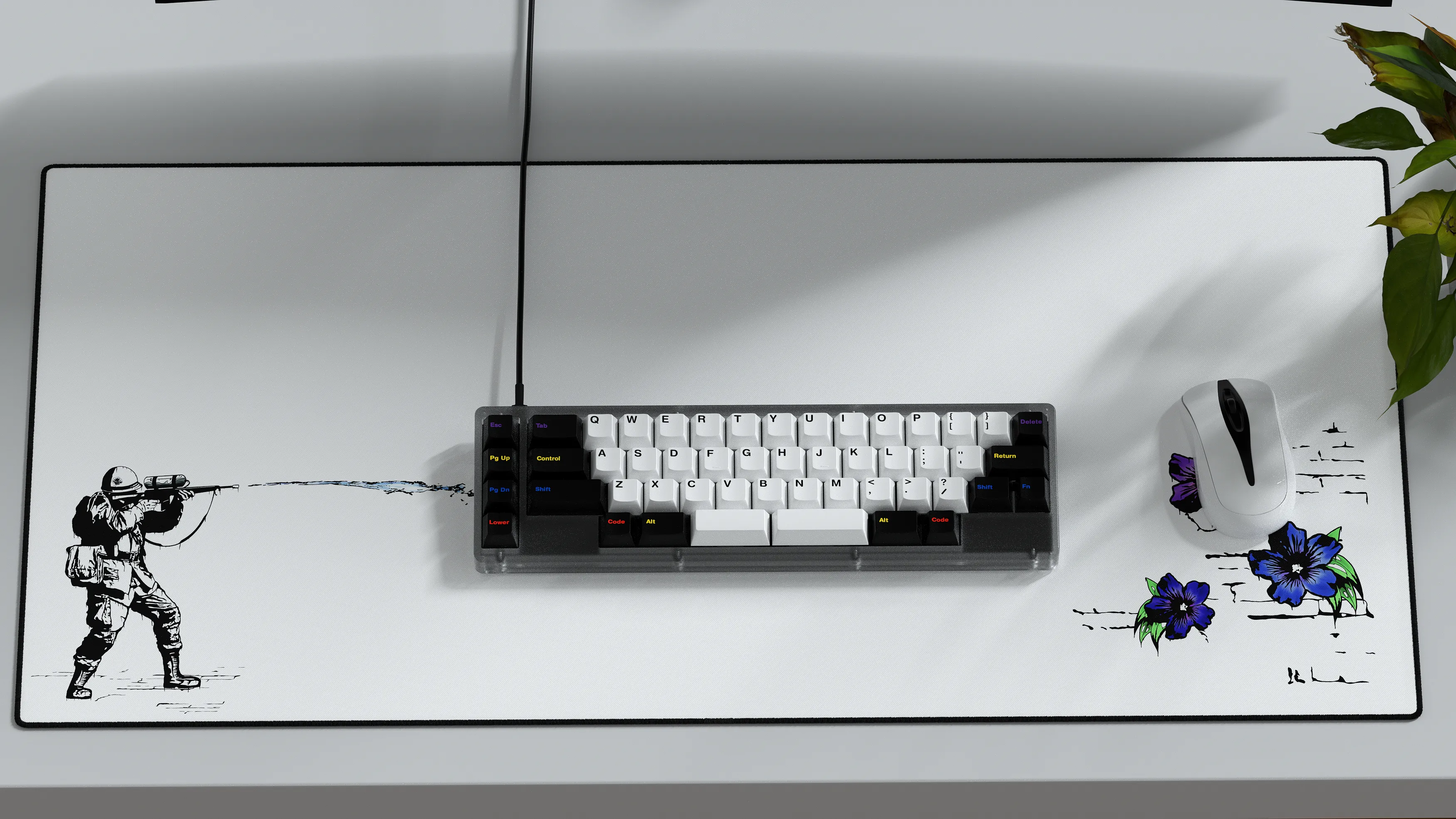 CYL Colorchrome