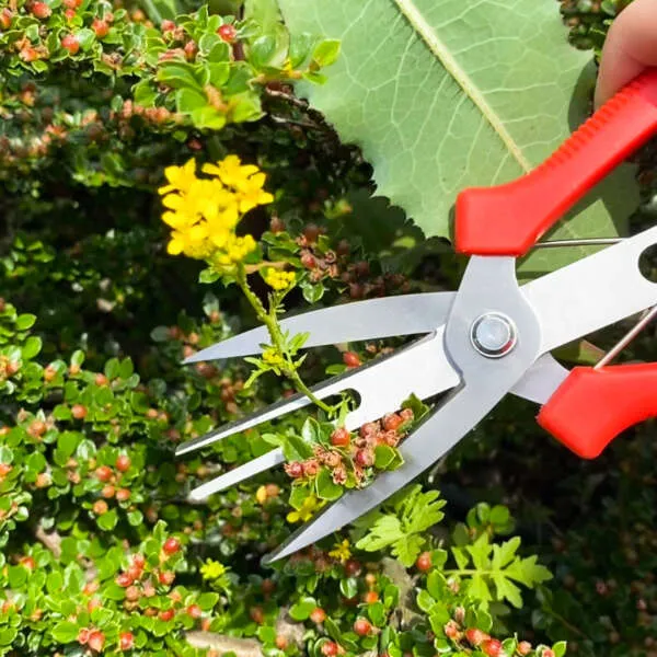 Florano - Innovative plant shears