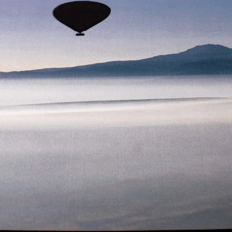 Fly In Bliss Versatile Desk Mat
