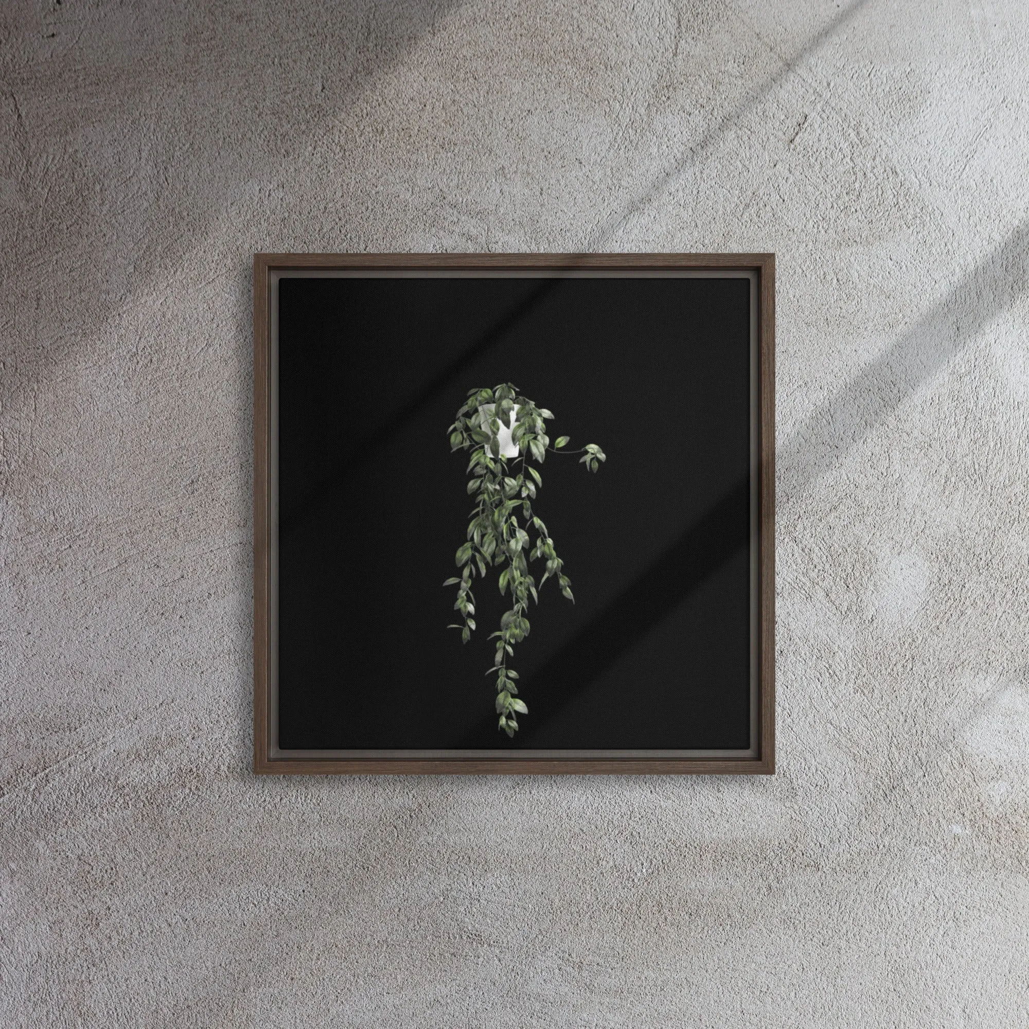 Hanging Vine Framed Canvas Print