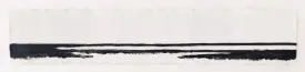 Monochromatic Panoramic