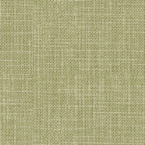 Rug Telar