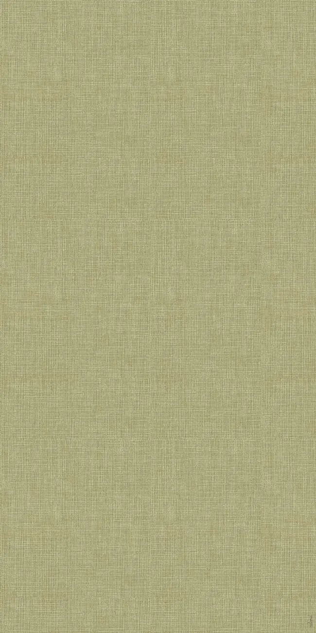 Rug Telar