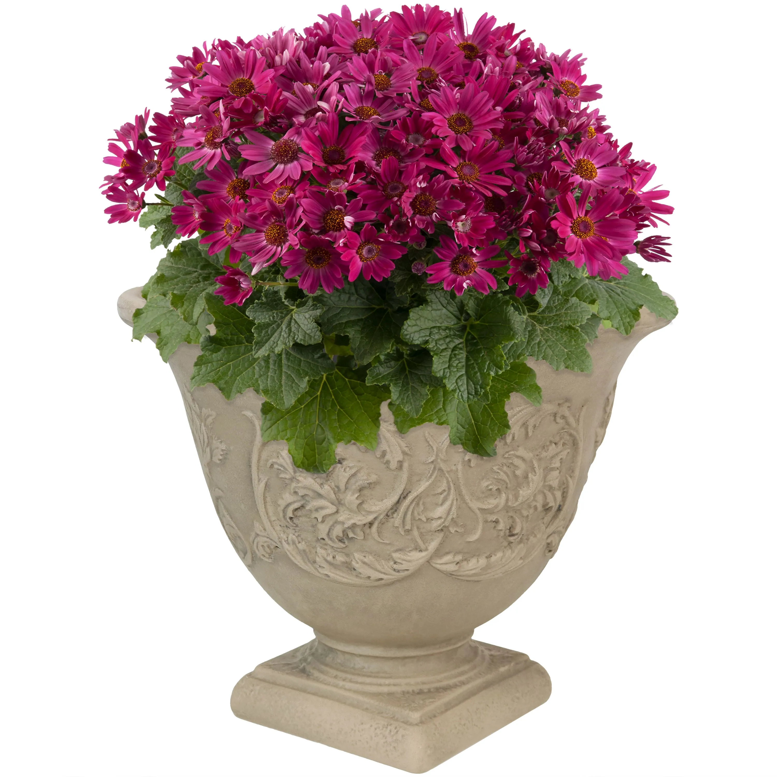 Sunnydaze Darcy Outdoor Polyresin Planter - Beige - 16"