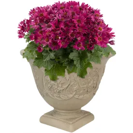 Sunnydaze Darcy Outdoor Polyresin Planter - Beige - 16"
