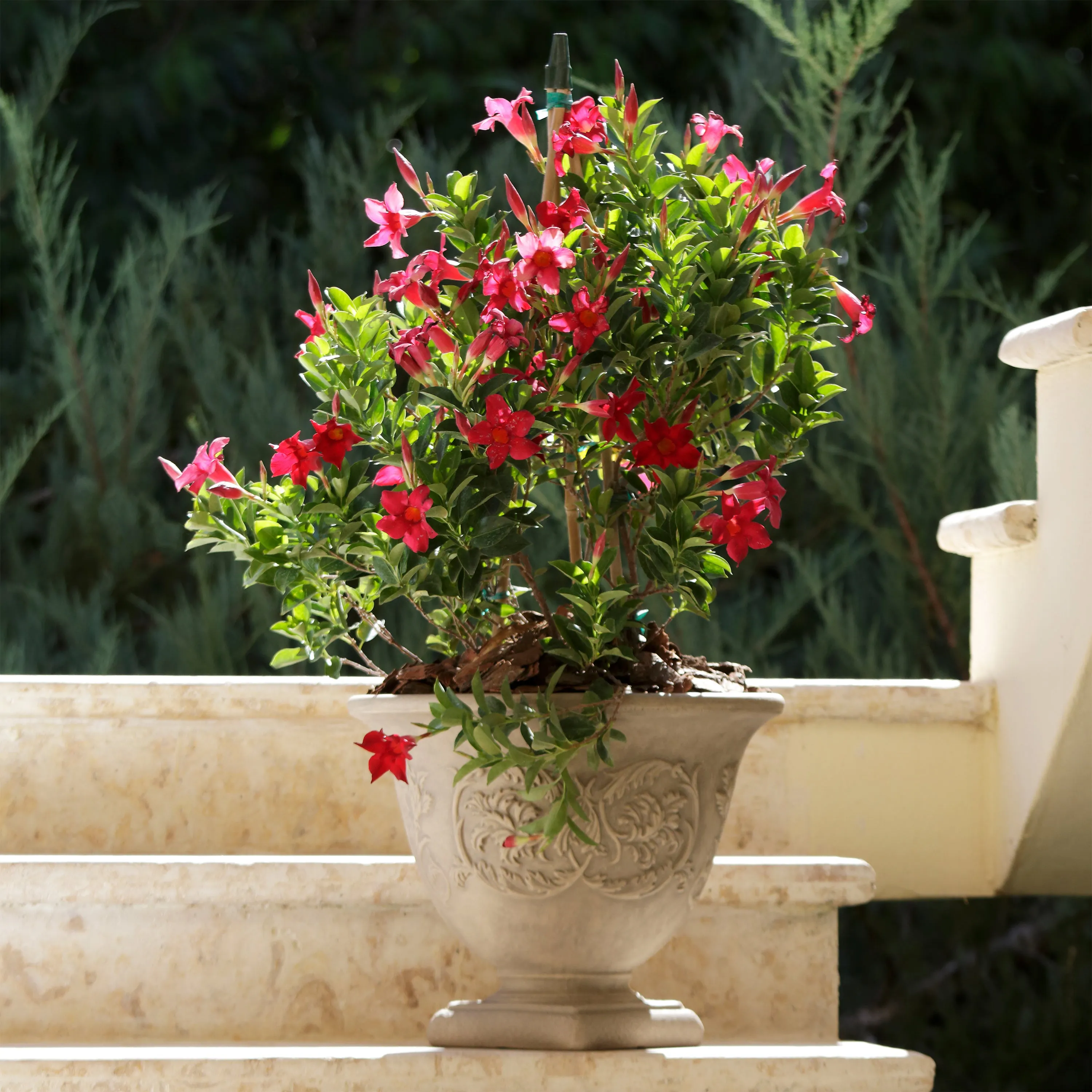 Sunnydaze Darcy Outdoor Polyresin Planter - Beige - 16"