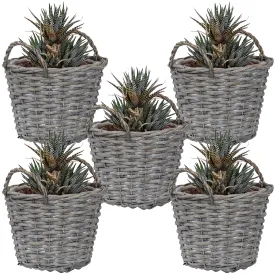 Sunnydaze Set of 5 Willow Wicker Basket Planters
