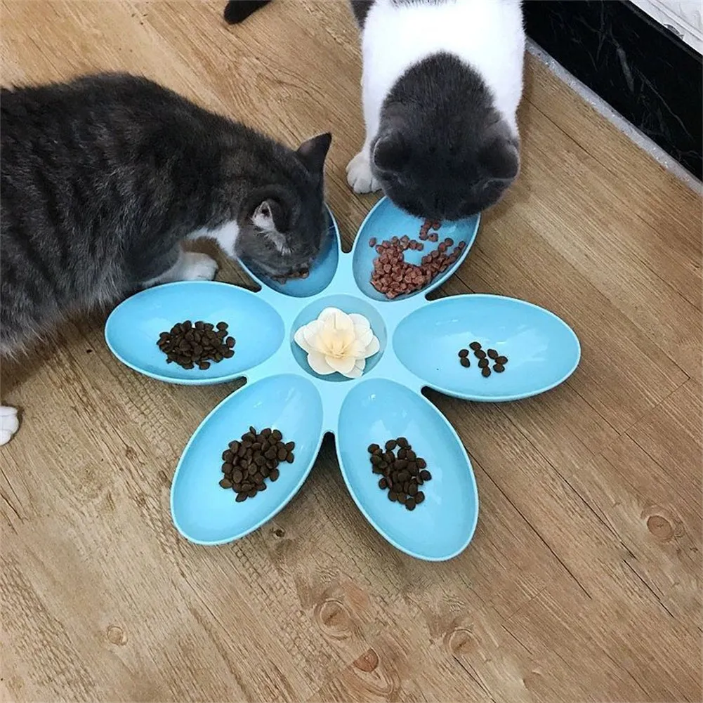 Upgrade Pet Feeding Versatile Bowl for Cats  Dogs