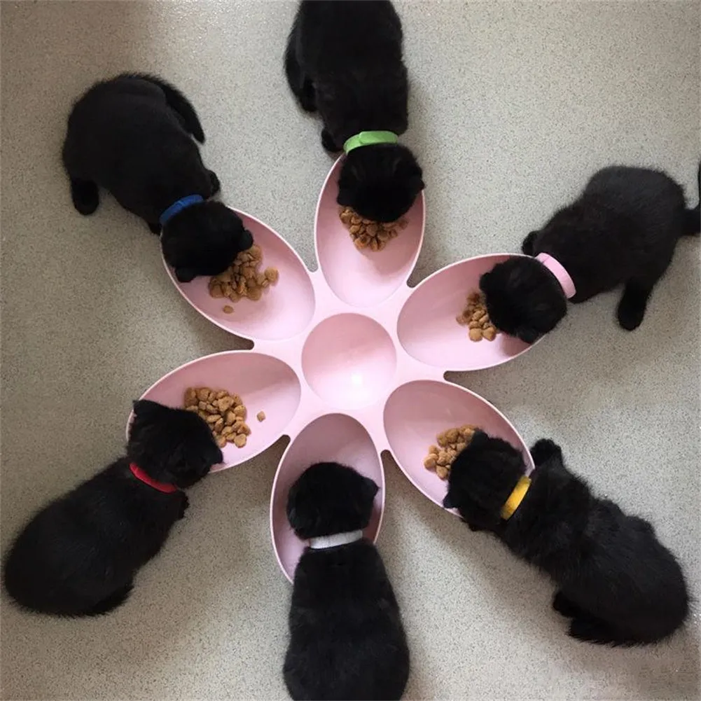 Upgrade Pet Feeding Versatile Bowl for Cats  Dogs