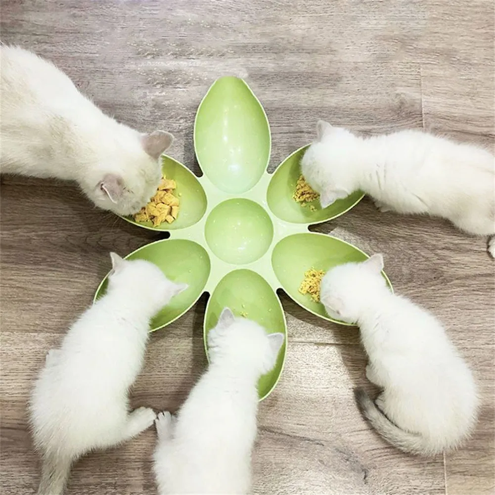 Upgrade Pet Feeding Versatile Bowl for Cats  Dogs
